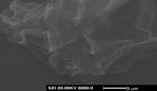 710公海-迎接您来到公海